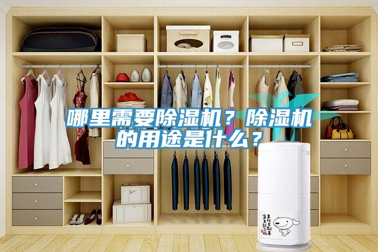 哪里需要猫咪成人官网？猫咪成人官网的用途是什么？