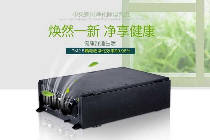 制鞋厂仓库防潮猫咪成人官网