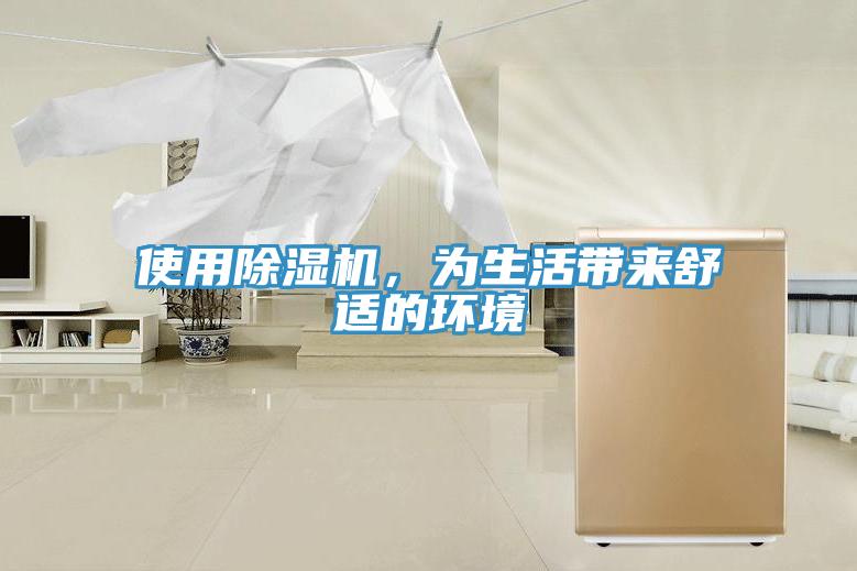 使用猫咪成人官网，为生活带来舒适的环境