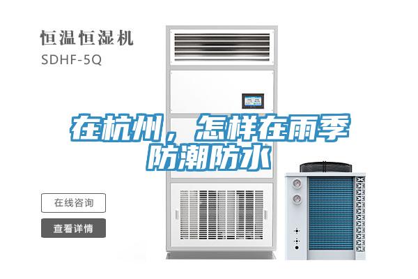 在杭州，怎样在雨季防潮防水