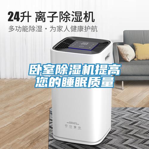 卧室猫咪成人官网提高您的睡眠质量