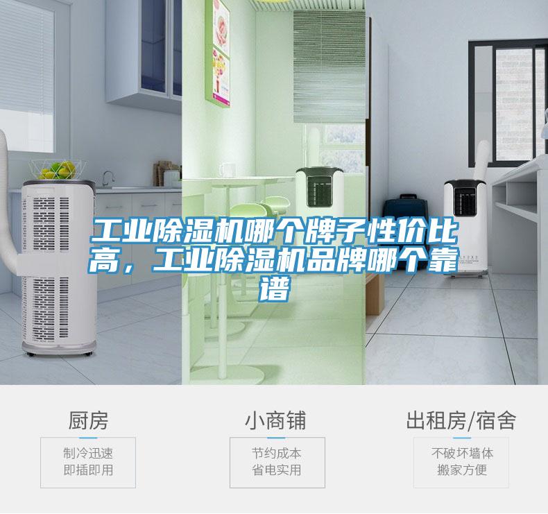 工业猫咪成人官网哪个牌子性价比高，工业猫咪成人官网品牌哪个靠谱