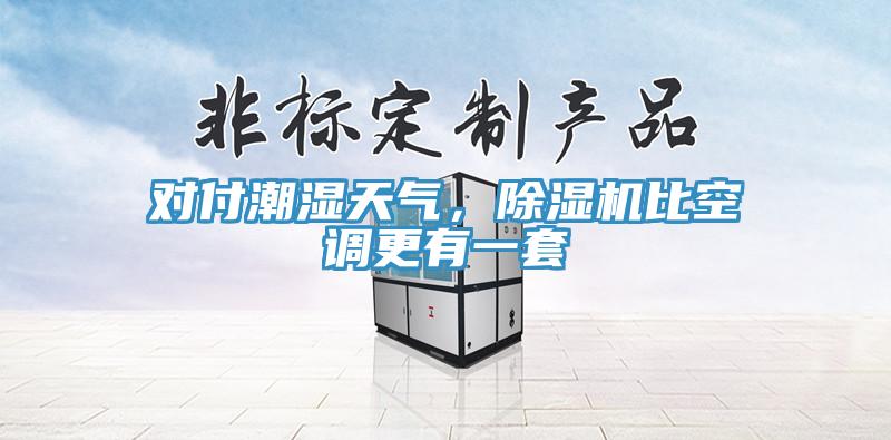 对付潮湿天气，猫咪成人官网比空调更有一套