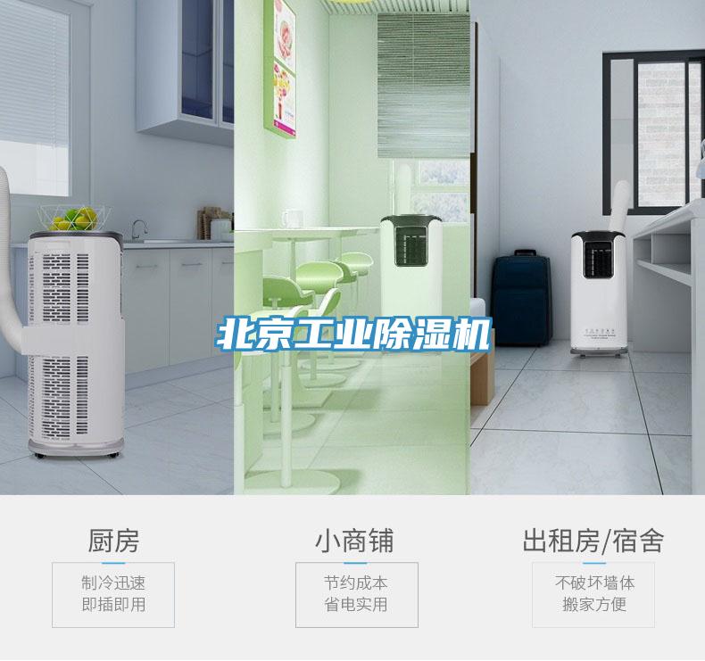 北京工业猫咪成人官网