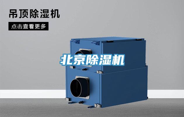 北京猫咪成人官网