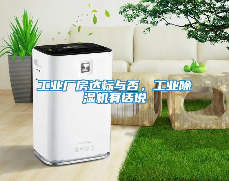 工业厂房达标与否，工业猫咪成人官网有话说