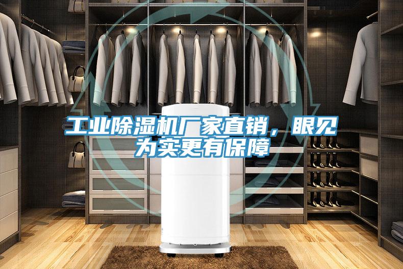 工业猫咪成人官网厂家直销，眼见为实更有保障