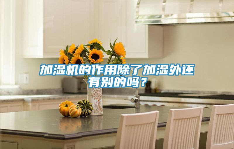 加湿机的作用除了加湿外还有别的吗？