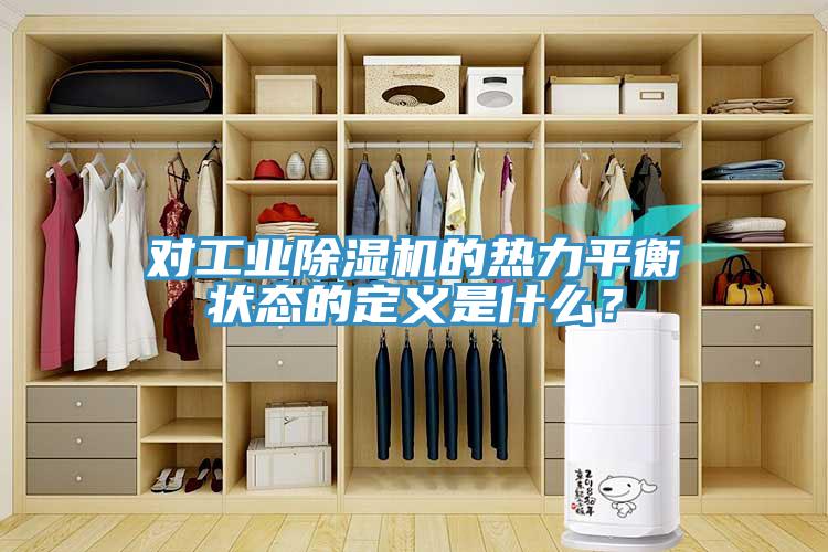 对工业猫咪成人官网的热力平衡状态的定义是什么？