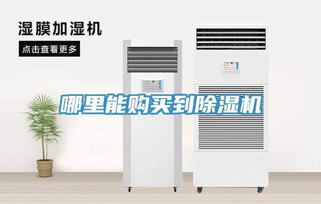 哪里能购买到猫咪成人官网