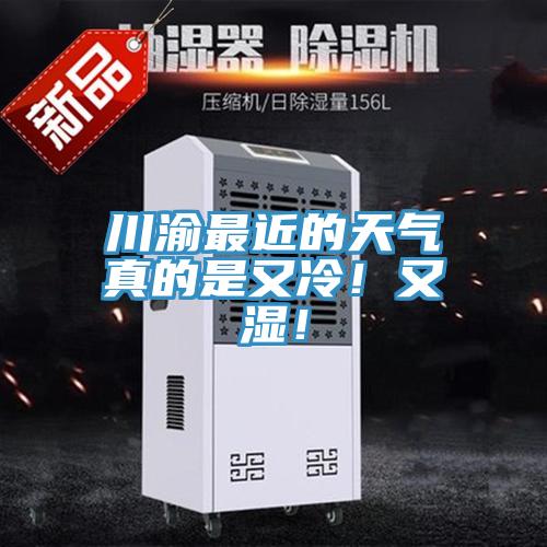川渝最近的天气真的是又冷！又湿！