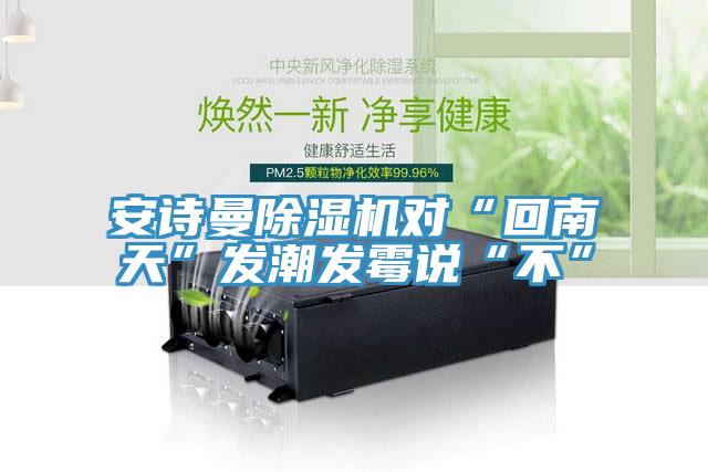 猫咪成人在线视频猫咪成人官网对“回南天”发潮发霉说“不”
