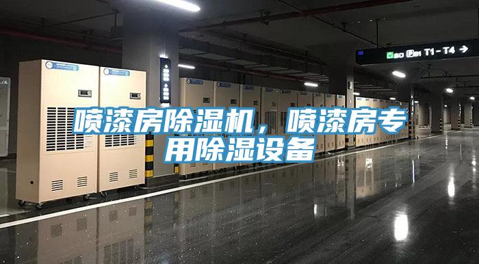 喷漆房猫咪成人官网，喷漆房专用除湿设备