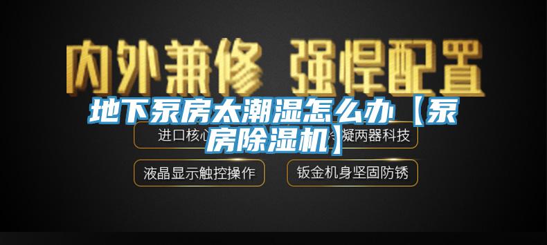地下泵房太潮湿怎么办【泵房猫咪成人官网】