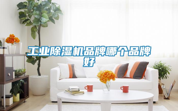 工业猫咪成人官网品牌哪个品牌好
