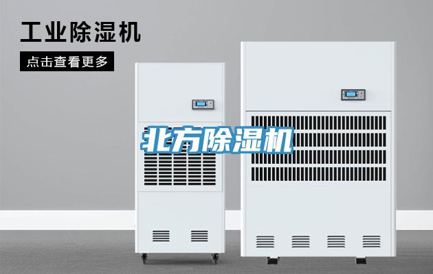 北方猫咪成人官网