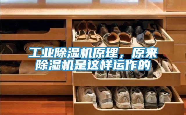 工业猫咪成人官网原理，原来猫咪成人官网是这样运作的