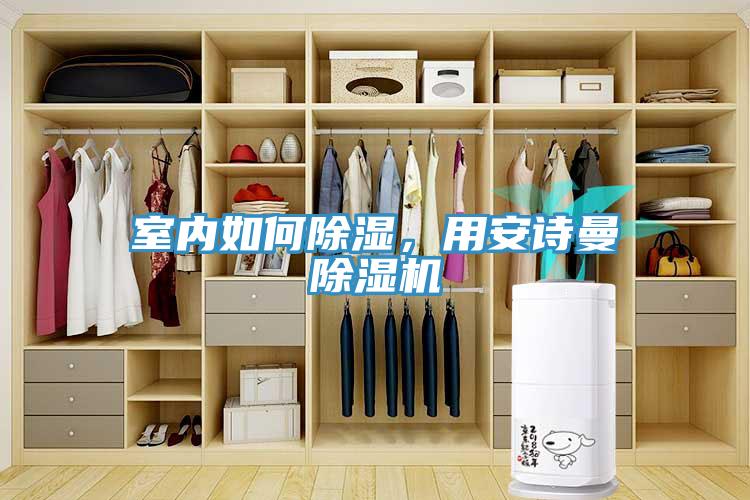 室内如何除湿，用猫咪成人在线视频猫咪成人官网