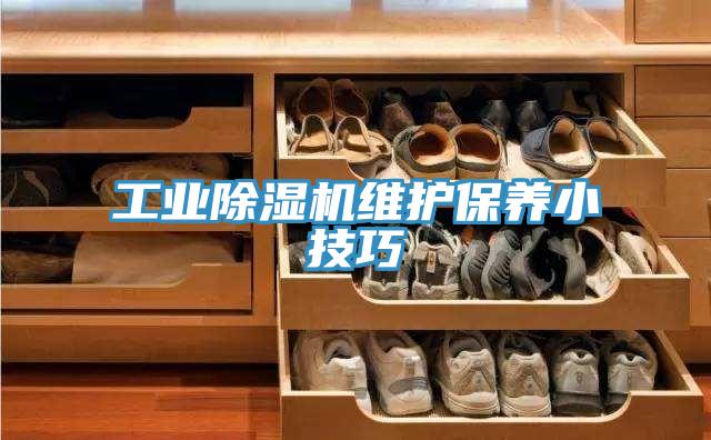 工业猫咪成人官网维护保养小技巧