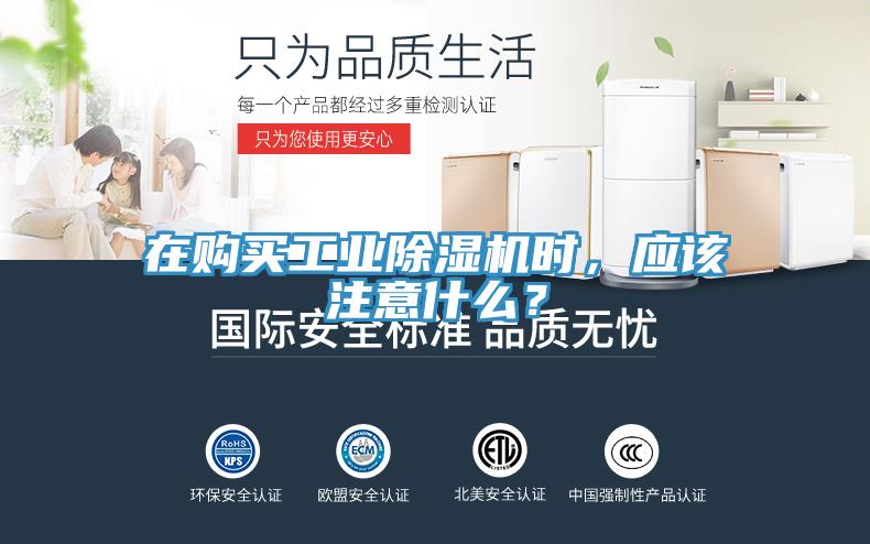 在购买工业猫咪成人官网时，应该注意什么？
