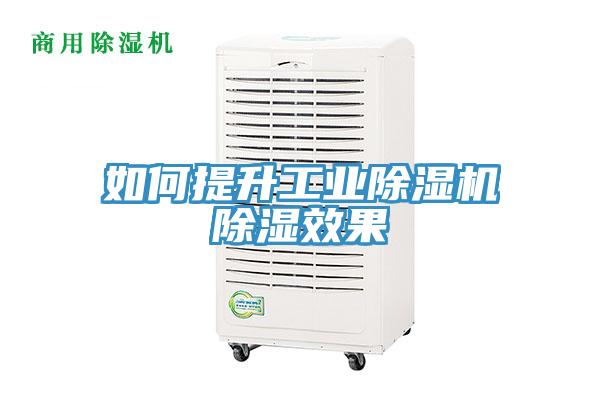 如何提升工业猫咪成人官网除湿效果