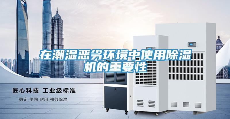 在潮湿恶劣环境中使用猫咪成人官网的重要性