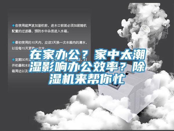 在家办公？家中太潮湿影响办公效率？猫咪成人官网来帮你忙