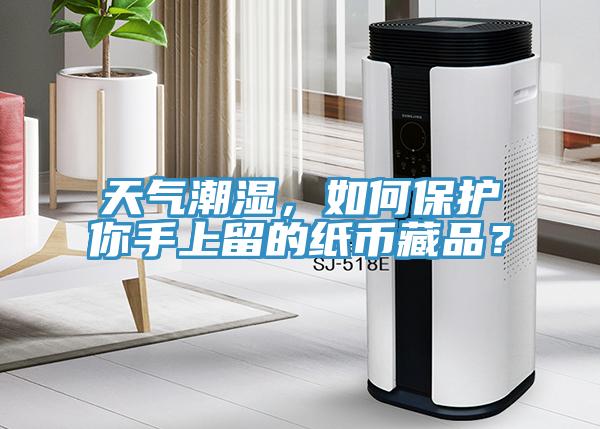 天气潮湿，如何保护你手上留的纸币藏品？