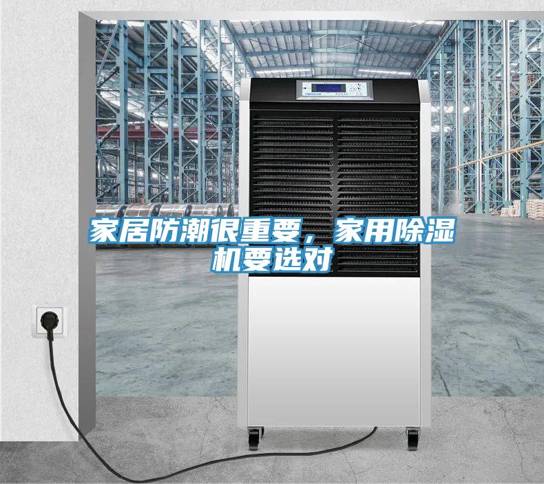 家居防潮很重要，家用猫咪成人官网要选对