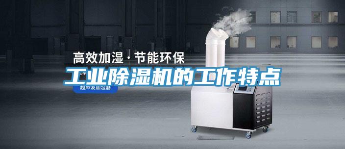 工业猫咪成人官网的工作特点