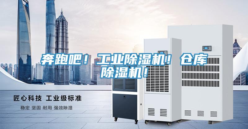 奔跑吧！工业猫咪成人官网！仓库猫咪成人官网！
