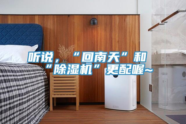 听说，“回南天”和“猫咪成人官网”更配喔~