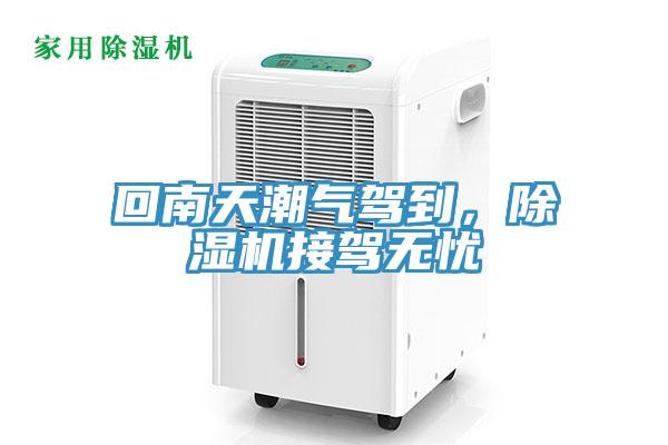 回南天潮气驾到，猫咪成人官网接驾无忧