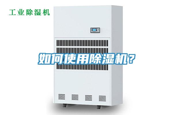 如何使用猫咪成人官网？