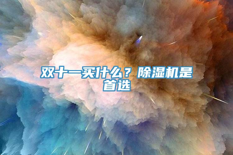 双十一买什么？猫咪成人官网是首选