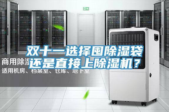双十一选择囤除湿袋还是直接上猫咪成人官网？