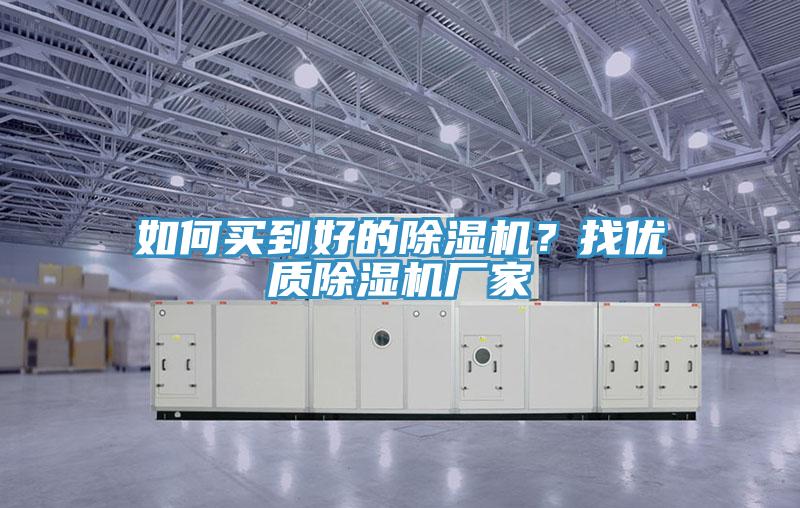 如何买到好的猫咪成人官网？找优质猫咪成人官网厂家