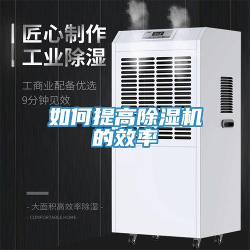 如何提高猫咪成人官网的效率