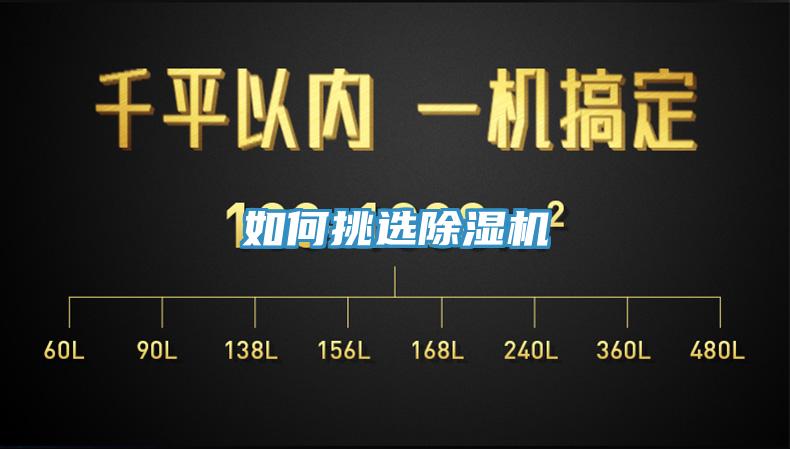 如何挑选猫咪成人官网