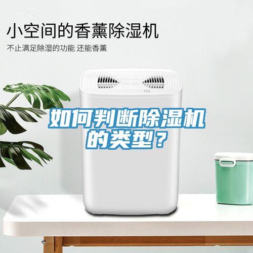 如何判断猫咪成人官网的类型？