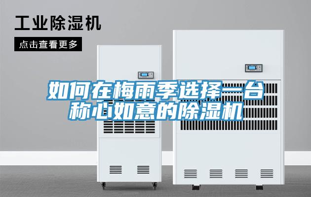如何在梅雨季选择一台称心如意的猫咪成人官网