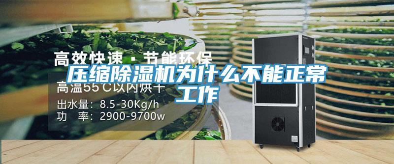 压缩猫咪成人官网为什么不能正常工作