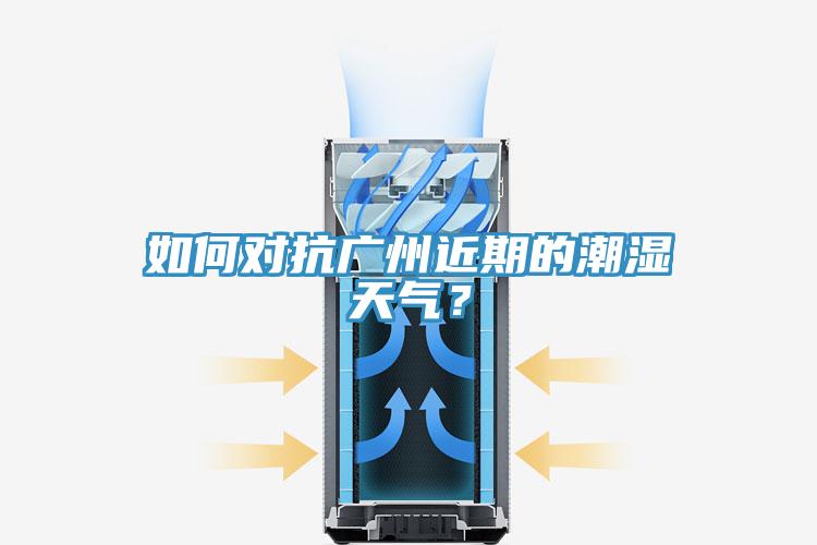 如何对抗广州近期的潮湿天气？