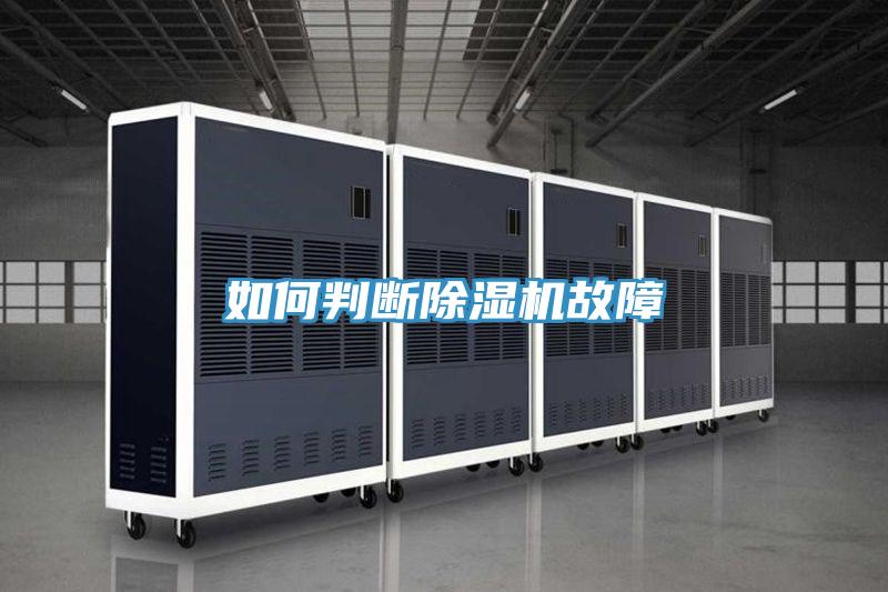如何判断猫咪成人官网故障