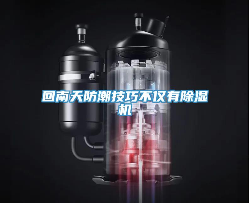 回南天防潮技巧不仅有猫咪成人官网