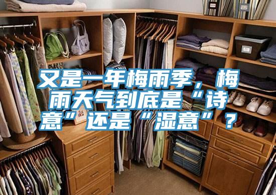 又是一年梅雨季，梅雨天气到底是“诗意”还是“湿意”？