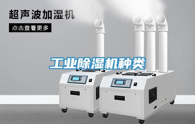 工业猫咪成人官网种类