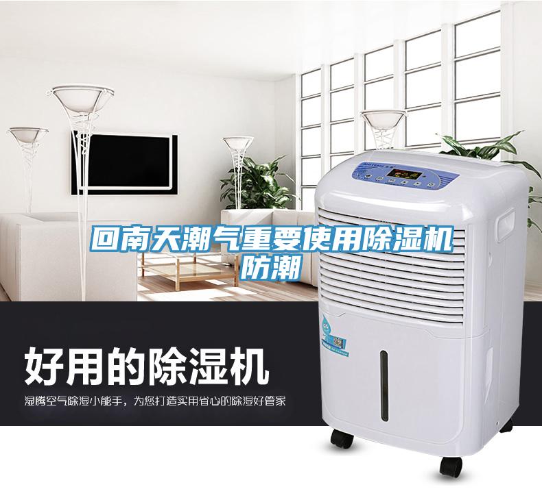 回南天潮气重要使用猫咪成人官网防潮