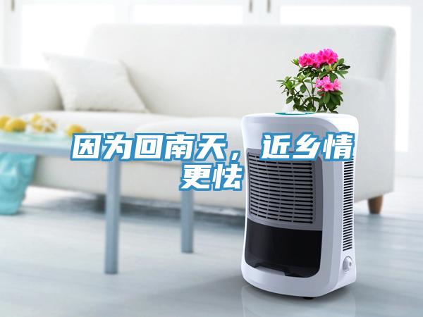 因为回南天，近乡情更怯