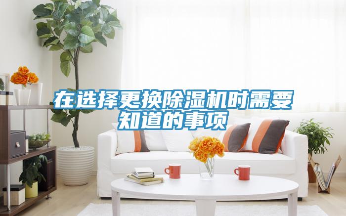 在选择更换猫咪成人官网时需要知道的事项